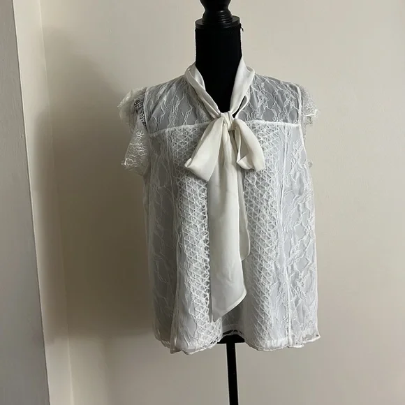 🆕EXPRESS Ivory Tie Neck Lace Top - Size: S - Picture 3 of 8
